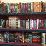 Teen Book Shelves